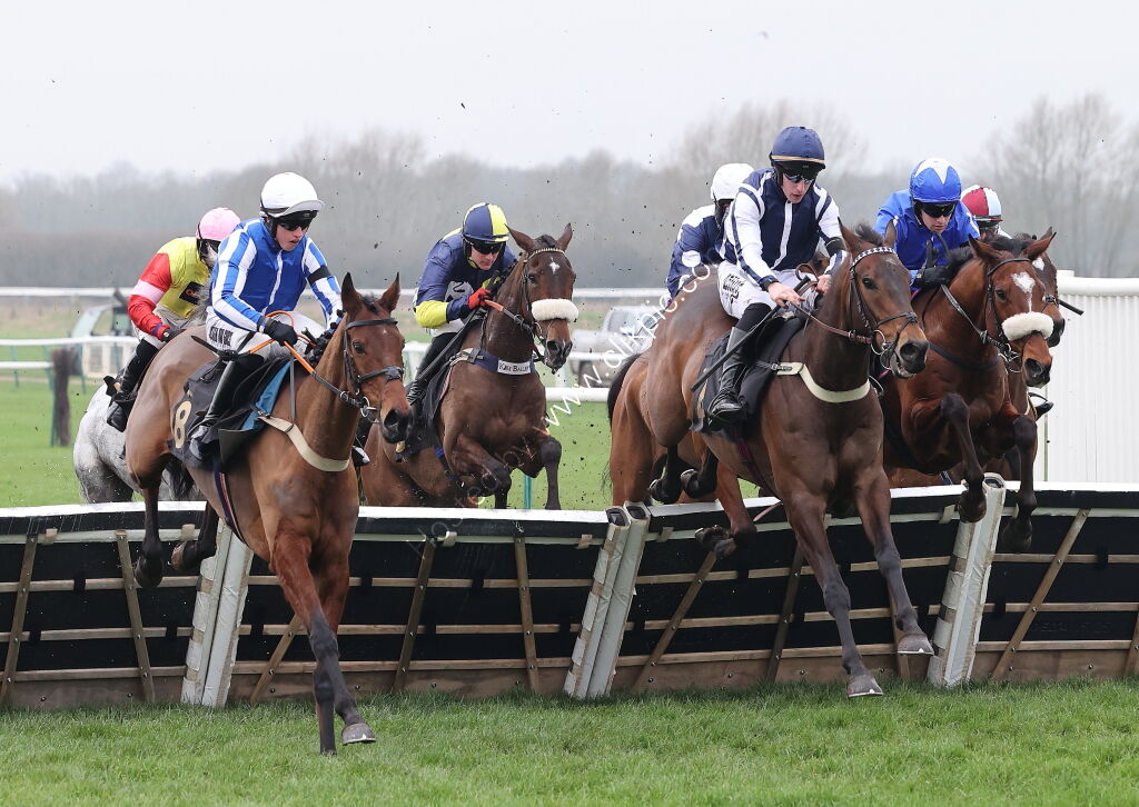 Royal Pug Handicap Hurdle