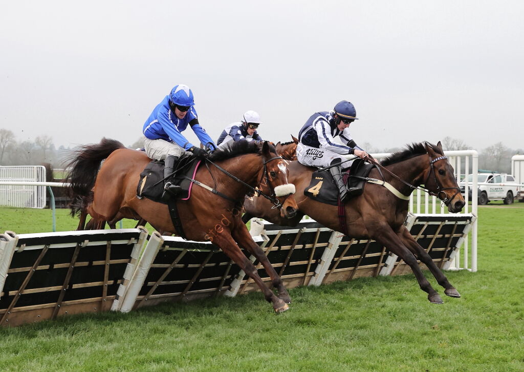 Royal Pug Handicap Hurdle