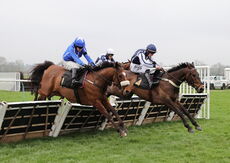 Royal Pug Handicap Hurdle