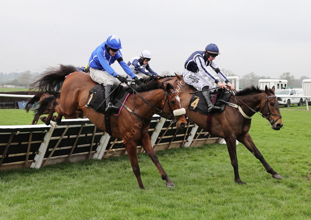 Royal Pug Handicap Hurdle