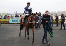 Royal Pug Handicap Hurdle