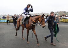 Royal Pug Handicap Hurdle