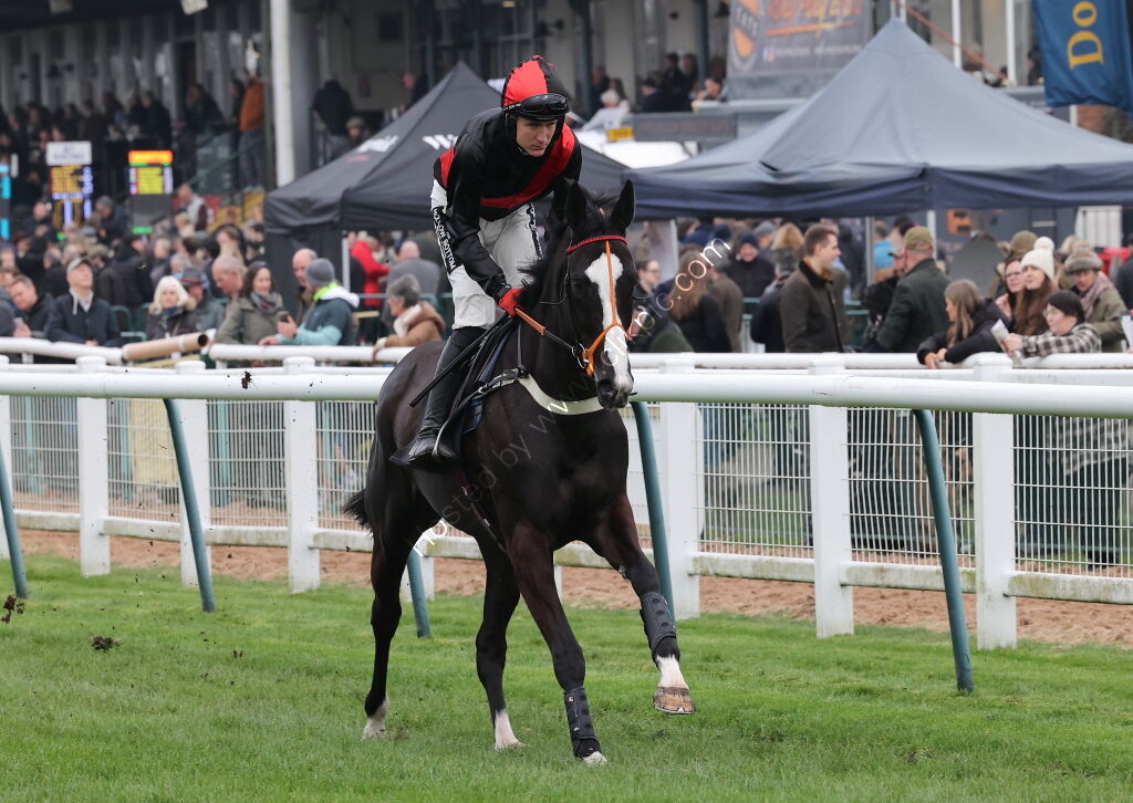 Oddschecker Mares' Handicap Chase