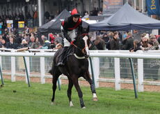 Oddschecker Mares' Handicap Chase