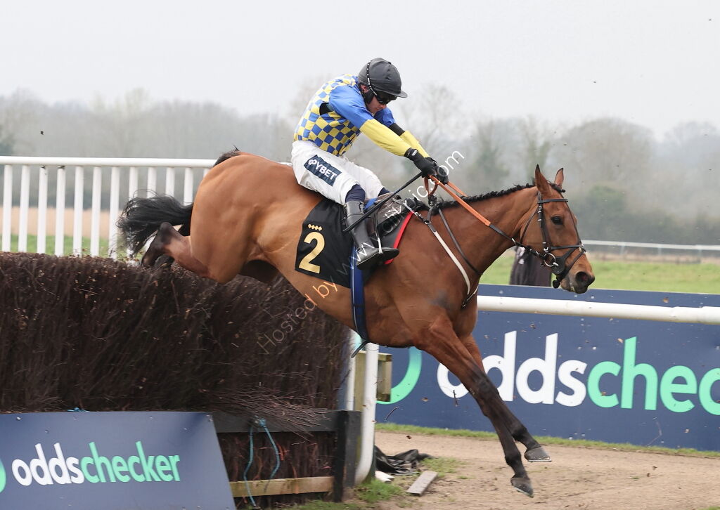 Oddschecker Mares' Handicap Chase