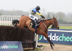 Oddschecker Mares' Handicap Chase