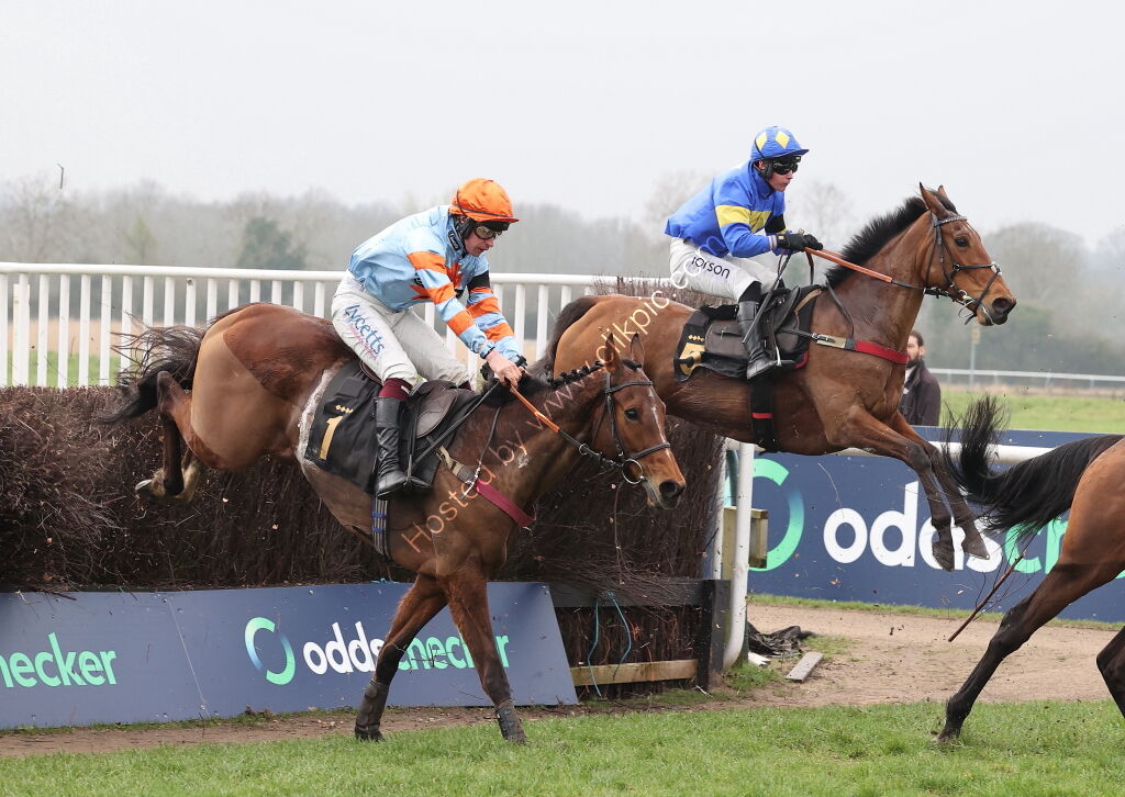 Oddschecker Mares' Handicap Chase