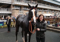 Oddschecker Mares' Handicap Chase