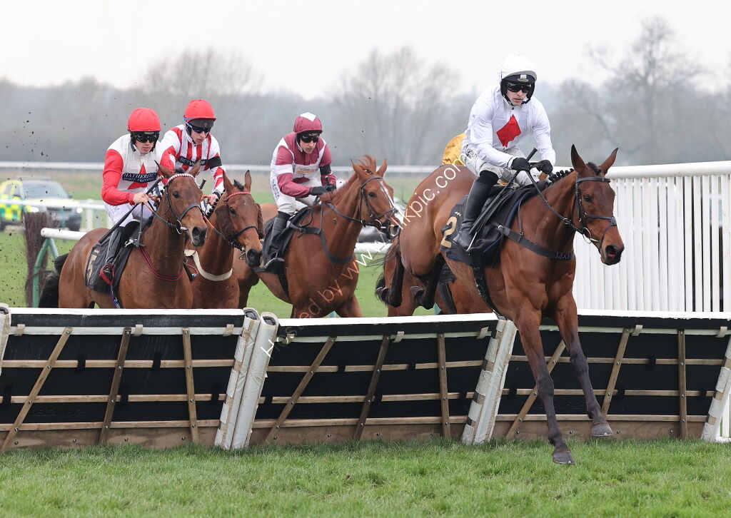 Oddschecker Handicap Hurdle