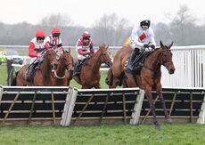 Oddschecker Handicap Hurdle