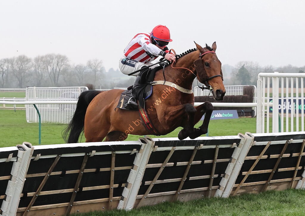 Oddschecker Handicap Hurdle