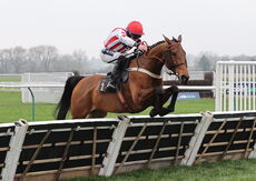 Oddschecker Handicap Hurdle