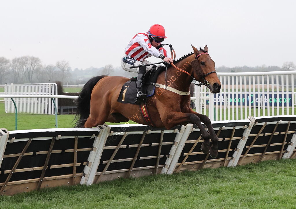 Oddschecker Handicap Hurdle