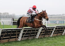 Oddschecker Handicap Hurdle