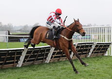 Oddschecker Handicap Hurdle