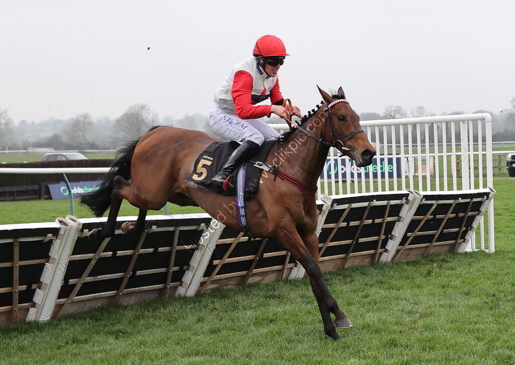 Oddschecker Handicap Hurdle