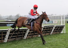 Oddschecker Handicap Hurdle