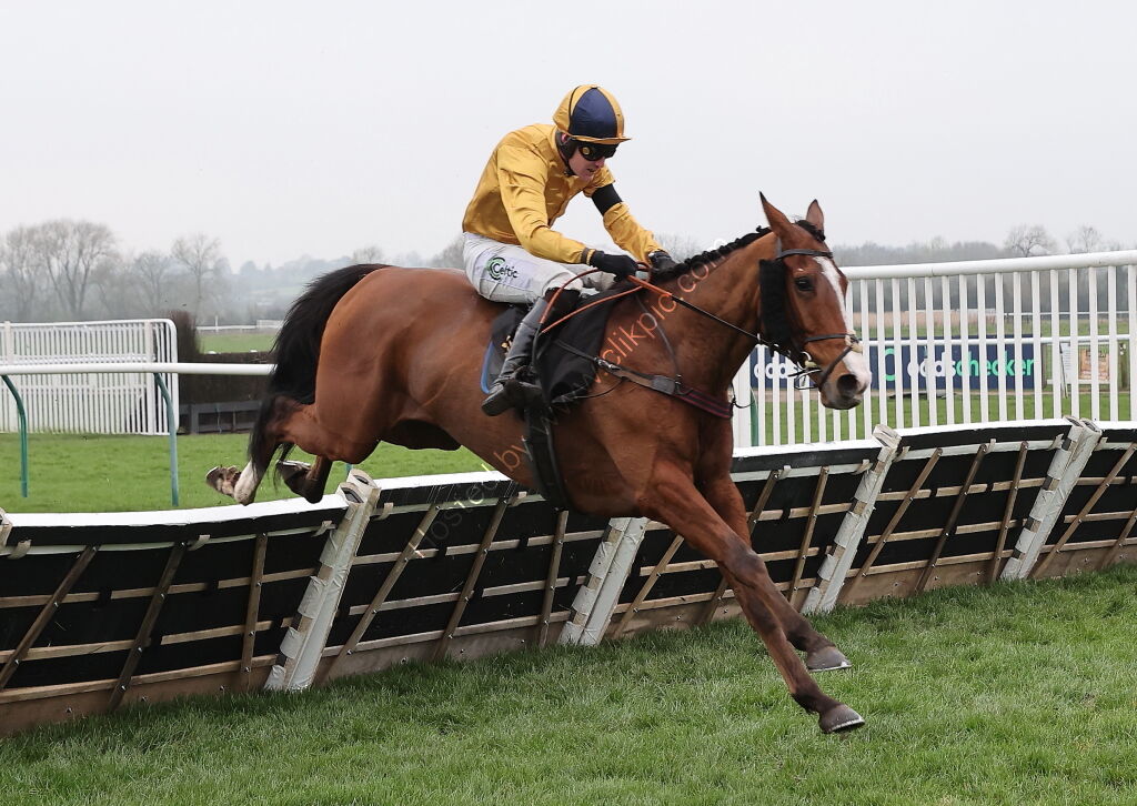 Oddschecker Handicap Hurdle