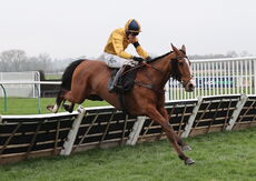 Oddschecker Handicap Hurdle