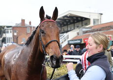 Oddschecker Handicap Hurdle