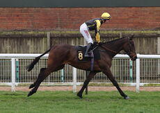 Oddschecker Volcano Handicap Chase