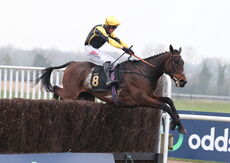 Oddschecker Volcano Handicap Chase