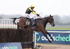 Oddschecker Volcano Handicap Chase