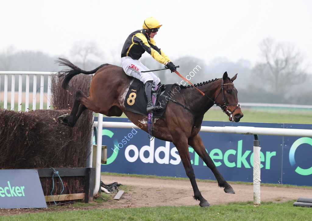 Oddschecker Volcano Handicap Chase