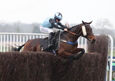 Oddschecker Volcano Handicap Chase