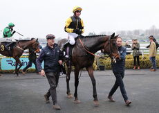 Oddschecker Volcano Handicap Chase