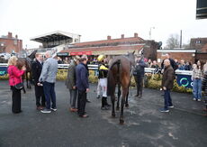 Oddschecker Volcano Handicap Chase