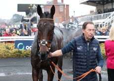 Oddschecker Volcano Handicap Chase