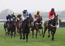 Black Pug Open NH Flat Race