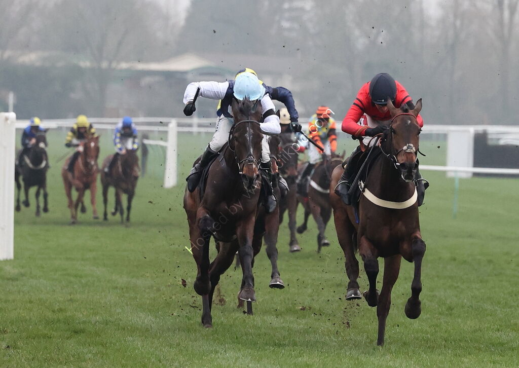 Black Pug Open NH Flat Race