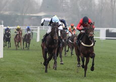 Black Pug Open NH Flat Race