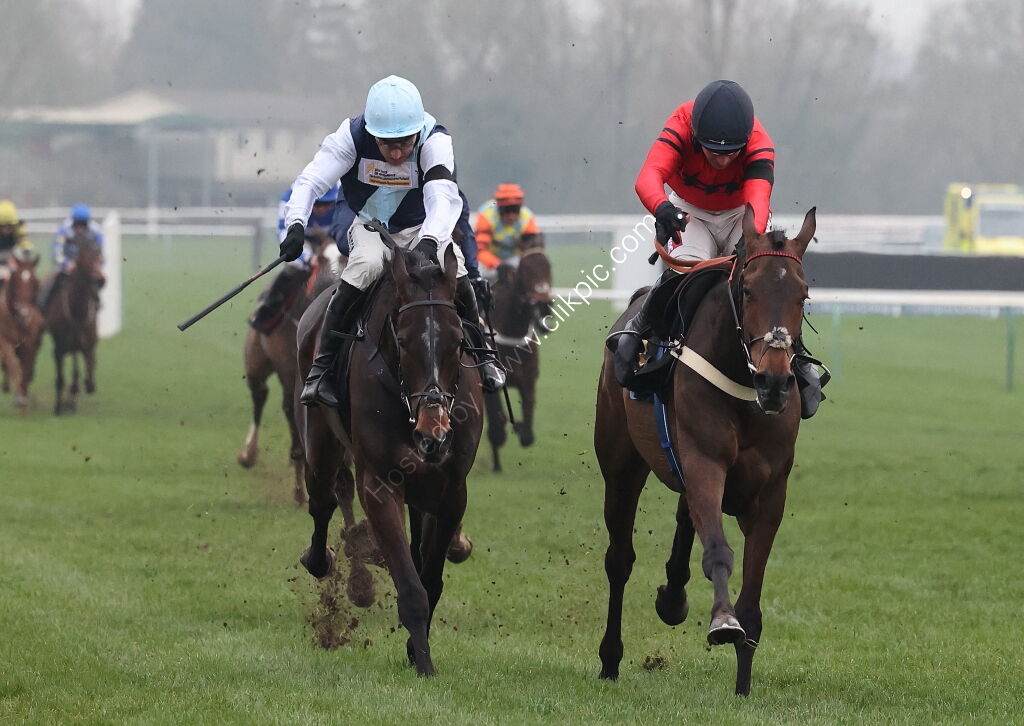 Black Pug Open NH Flat Race