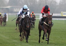 Black Pug Open NH Flat Race