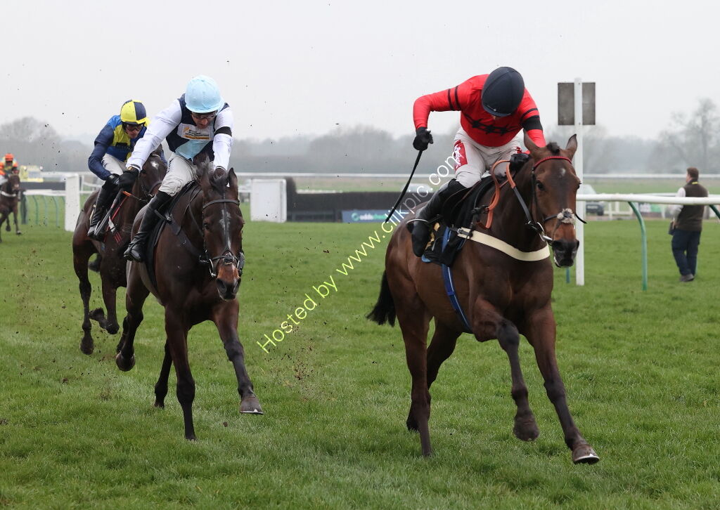 Black Pug Open NH Flat Race