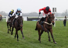 Black Pug Open NH Flat Race