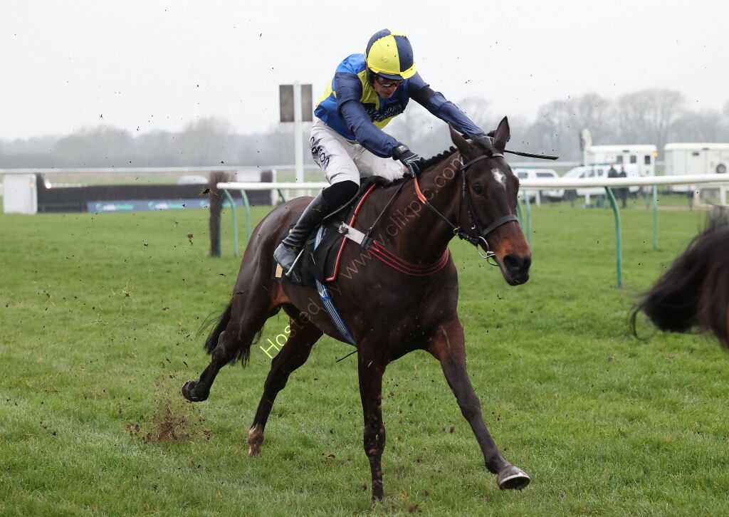 Black Pug Open NH Flat Race