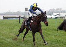 Black Pug Open NH Flat Race