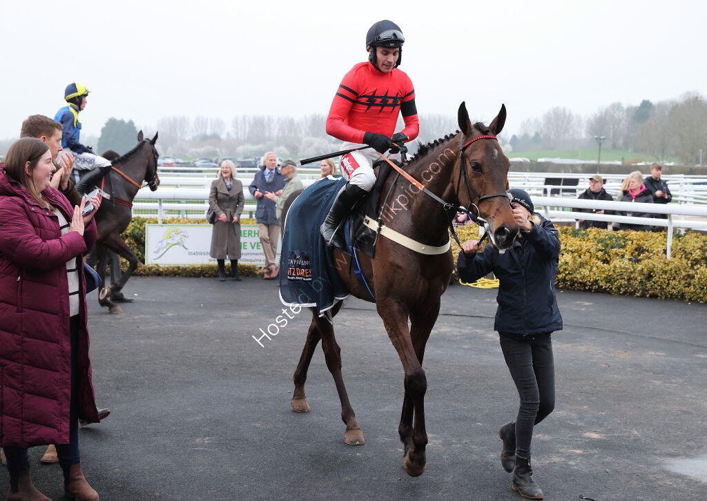 Black Pug Open NH Flat Race