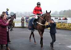 Black Pug Open NH Flat Race