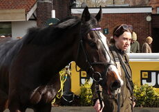 Feldon Dunsmore Novices' Hurdle