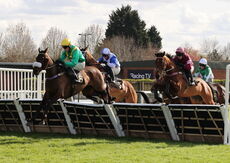 JCB Mini-Excavator Novices' Handicap Hurdle