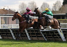 JCB Mini-Excavator Novices' Handicap Hurdle