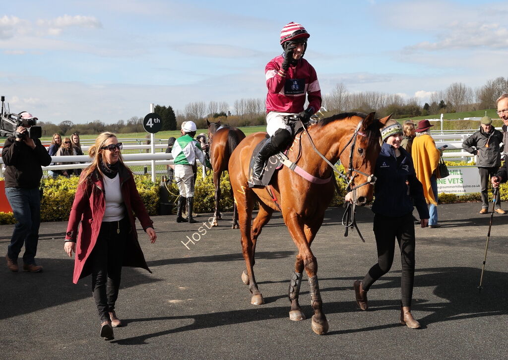 JCB Mini-Excavator Novices' Handicap Hurdle