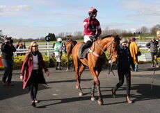 JCB Mini-Excavator Novices' Handicap Hurdle