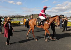 JCB Mini-Excavator Novices' Handicap Hurdle