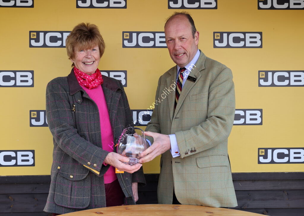 JCB Mini-Excavator Novices' Handicap Hurdle